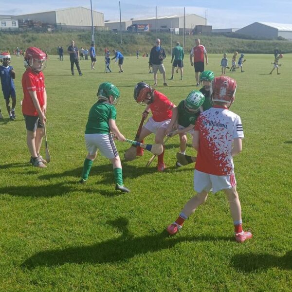 U7/8s Hurling Blitz in St Vincents [13/6/26]