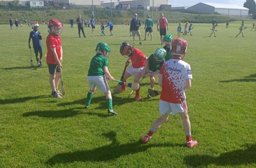 U7/8s Hurling Blitz in St Vincents [13/6/26]