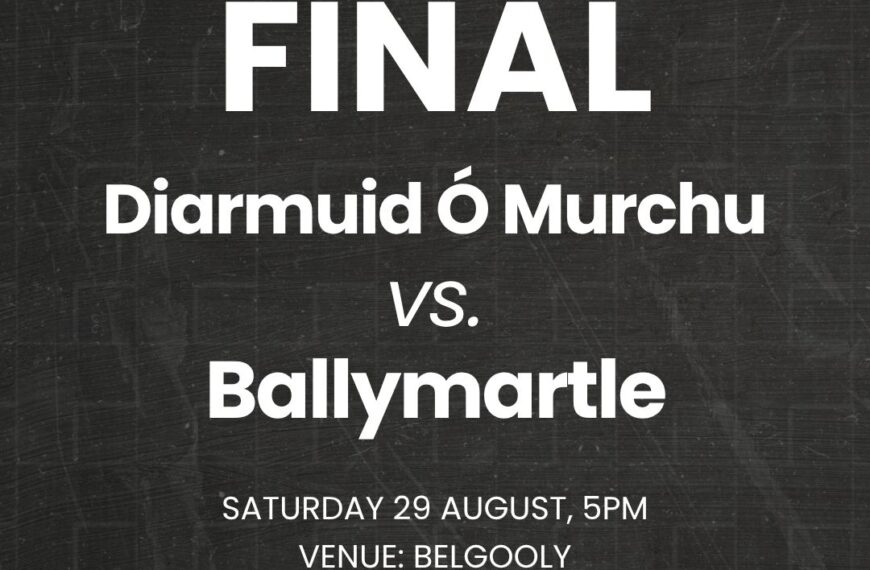 Fixture: Huntsman U21 B FC Final (DÓM)