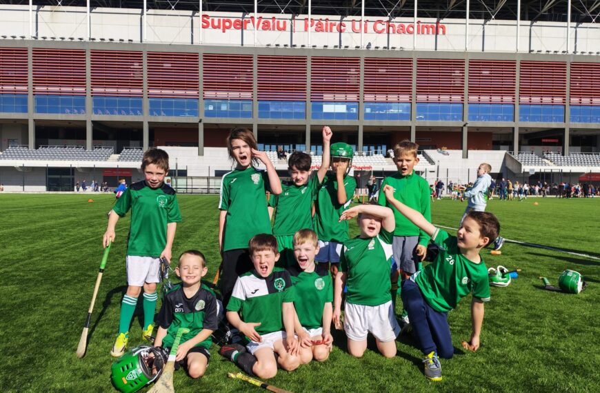 U7/8 Hurling Blitz – 3/10/26